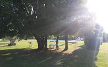 Foto ingevoerd door een huurder van Villa Fontine