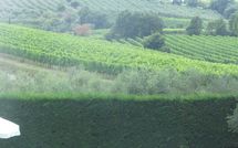 Foto ingevoerd door een huurder van Villa San Filippo