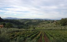 Foto ingevoerd door een huurder van Villa del Mughetto