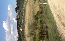 Foto ingevoerd door een huurder van Villa Gallo Nero