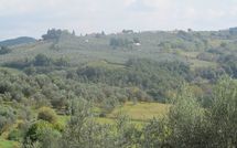 Foto ingevoerd door een huurder van Montegufoni