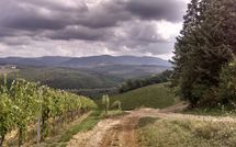 Foto ingevoerd door een huurder van Tenuta