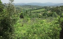 Foto ingevoerd door een huurder van Villa Saladini