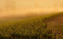 Foto ingevoerd door een huurder van Casa Simona