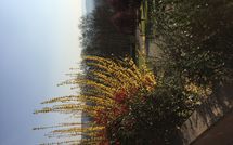 Foto ingevoerd door een huurder van Casa Sabrina