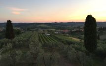 Foto ingevoerd door een huurder van Villa Roberto