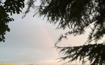 Foto ingevoerd door een huurder van Casa Rossa