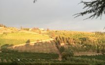 Foto ingevoerd door een huurder van Casa Rossa