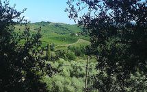 Foto ingevoerd door een huurder van Villa la Vedetta