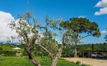 Foto ingevoerd door een huurder van Podere Romina Exclusive