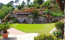 Foto ingevoerd door een huurder van Al Mennucci