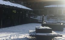Foto ingevoerd door een huurder van Toule
