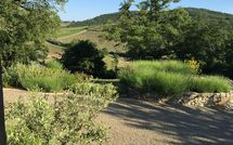 Foto ingevoerd door een huurder van Villa Vertine