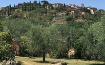 Foto ingevoerd door een huurder van Villa Ardene