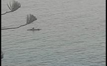 Foto ingevoerd door een huurder van Il Sorriso