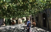 Foto ingevoerd door een huurder van Villa Piazza della Fortezza