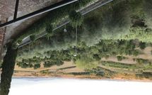 Foto ingevoerd door een huurder van Loggia del Poggiolo