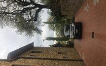 Foto ingevoerd door een huurder van Villa Il Prato