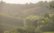 Foto ingevoerd door een huurder van Agriturismo Paterno