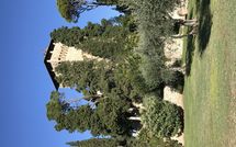 Foto ingevoerd door een huurder van Rocca di Cetona