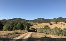 Foto ingevoerd door een huurder van Santa Barbera