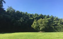 Foto ingevoerd door een huurder van Alisso