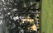 Foto ingevoerd door een huurder van Il Poggio di Patrignone