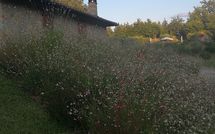 Foto ingevoerd door een huurder van La Casetta nel Bosco