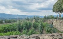 Foto ingevoerd door een huurder van Villa Agazzi