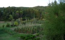 Foto ingevoerd door een huurder van Rufina 200