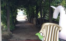 Foto ingevoerd door een huurder van Montegufoni