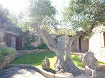 Accommodatie:&nbsp;La Bomboniera