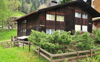 Bärnermutz