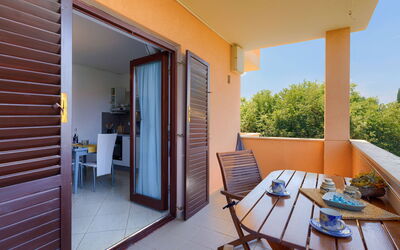 Accommodatie:&nbsp;Lili 307.3