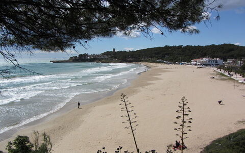 Vistamar: Zwemwater, Strand, Kust, Kust, Zee, Lucht, Water, Oceaan, Kust En Oceanic Landvormen, Zand