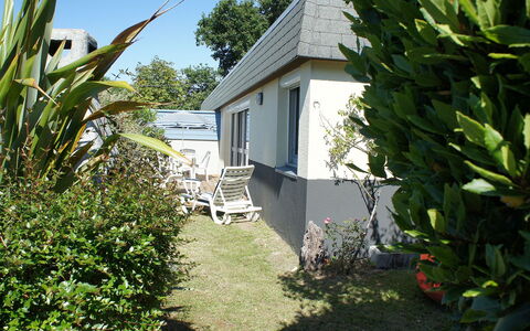 Ty Greg: Fabriek, Eigendom, Plantengemeenschap, Gebouw, Lucht, Boom, Huis, Vegetation, Arecales, Land Lot