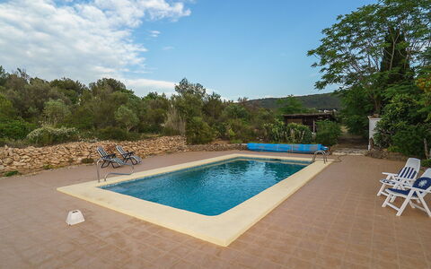 Forest: Water, Lucht, Zwembad, Fabriek, Wolk, Boom, Schaduw, Stoel, Buitenmeubels, Rechthoek