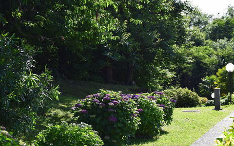 La Romantica: Groen, Blad, Struik, Tuin, Groundcover, De Lente, Woody Plant, Landscaping, Botanische Tuin, Haag