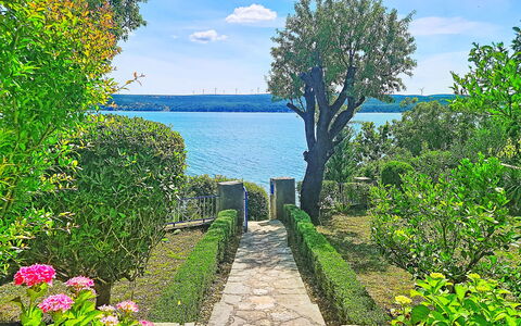 Matal: Blauw, Groen, Struik, Tuin, Zee, De Lente, Meer, Oceaan, Kust, Reservoir