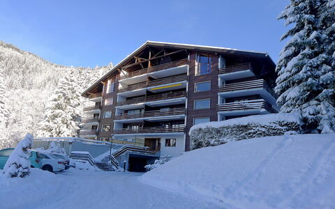 Schuss 23: Sneeuw, Winter, Eigendom, Architectuur, Huis, Berg, Lucht, Freezing, Huis, Onroerend Goed