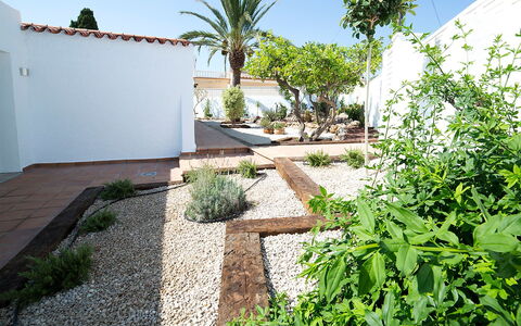 Trebol: Eigendom, Vegetation, Onroerend Goed, Werf, Huis, Tuin, Muur, Gras, Backyard, Woongebied