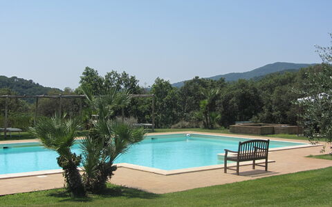 Villa Di Seripa: Zwembad, Eigendom, Gras, Toevlucht, Vrije Tijd, Onroerend Goed, Huis, Vakantie, Landgoed, Boom