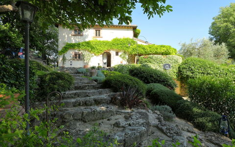 Oasis: Vegetation, Eigendom, Tuin, Natuurlijk Landschap, Huis, Verblijf, Plantkunde, Struik, Gebouw, Boom