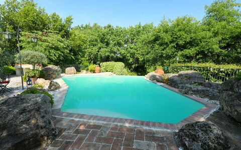 Oasis: Water, Fabriek, Lucht, Watervoorraden, Zwembad, Azure, Boom, Natuurlijk Landschap, Vegetation, Gras