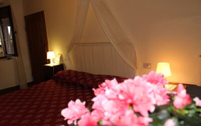 Accommodatie:&nbsp;Caminetto