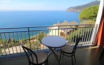 Agave - Moneglia, Ligurië, Italië