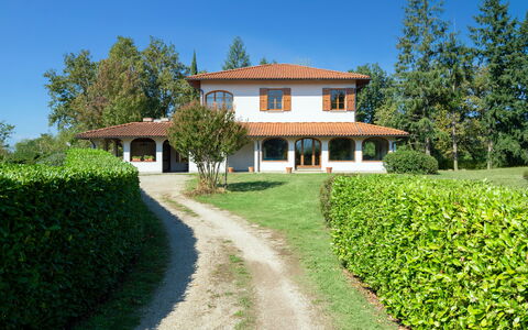 Villa Cinzia: Fabriek, Lucht, Eigendom, Gebouw, Groen, Venster, Boom, Natuurlijk Landschap, Land Lot, Vegetation