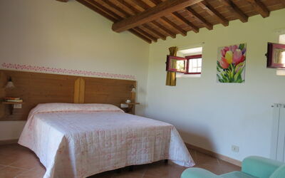 Accommodatie:&nbsp;509