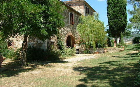 Agriturismo Il Molinello: Eigendom, Huis, Gebouw, Boom, Gras, Landgoed, Onroerend Goed, Architectuur, Hacienda, Landelijk Gebied