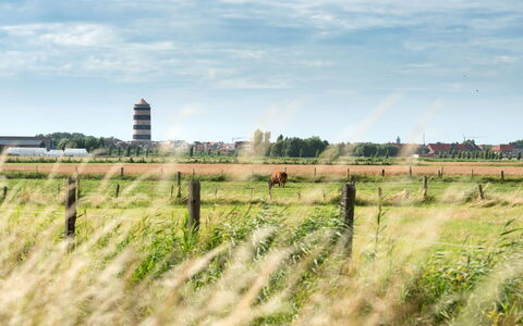 Zeeparel 402 with Balcony: Wolk, Fabriek, Lucht, Natuurlijk Landschap, Hek, Land Lot, Gras, Grasland, Plain, Boom